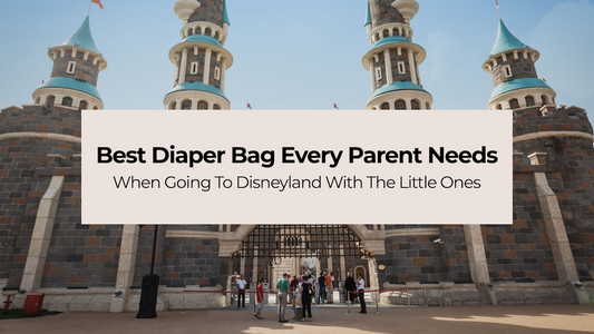 Best Diaper Bag To Bring To Disneyland With The Little Ones